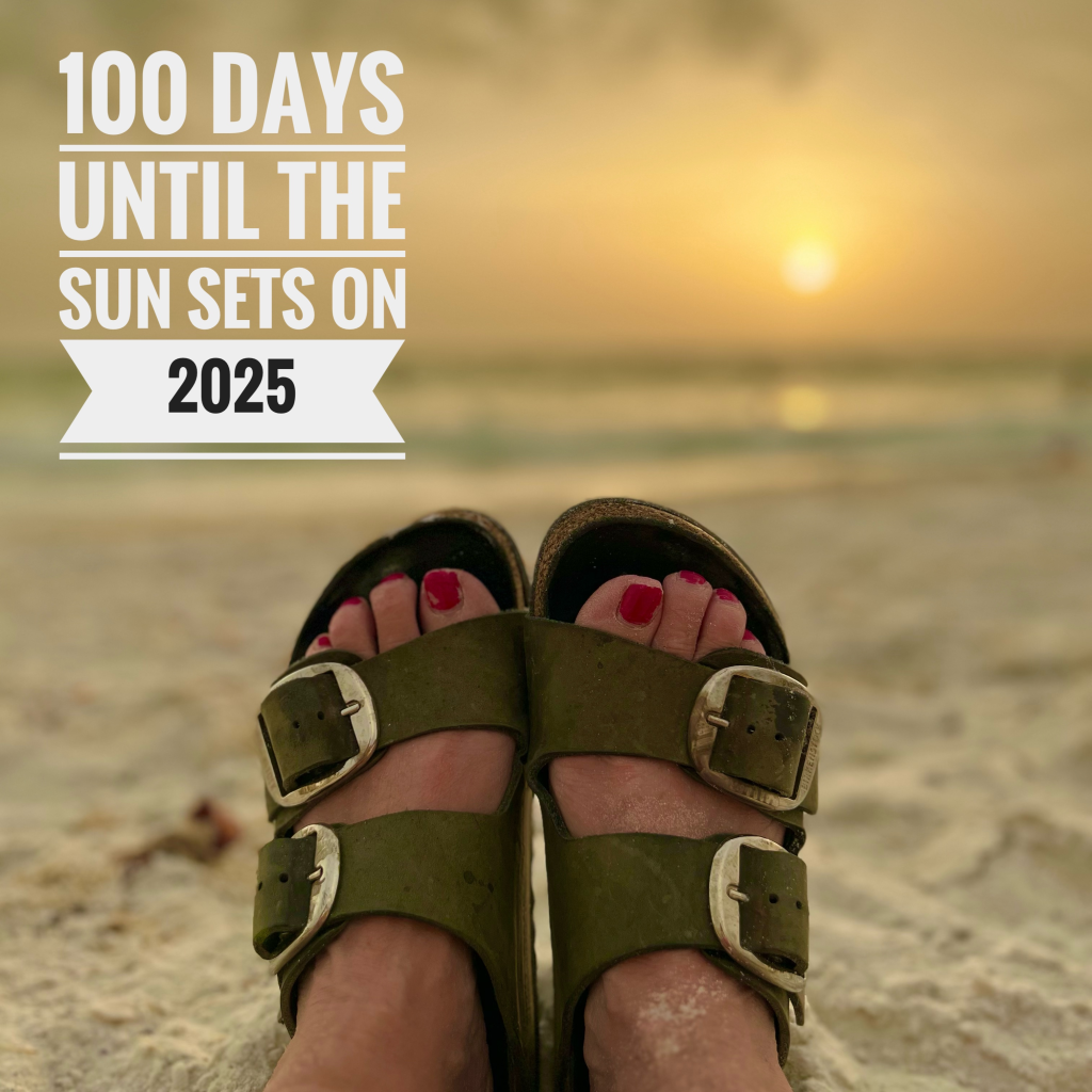 100-days-left-in-2025-lori-sullivan